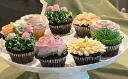 Assorted Flower Standard Cupcakes